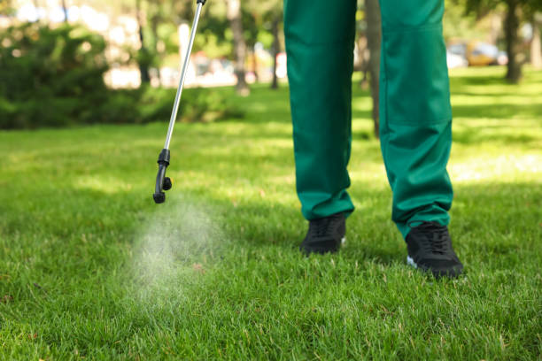 Best Pest Control Treatment  in Navy, VA