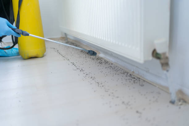 Best Wildlife Control Services  in Navy, VA